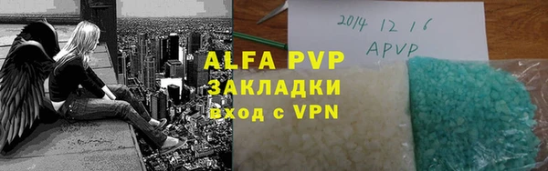 индика Сосновка