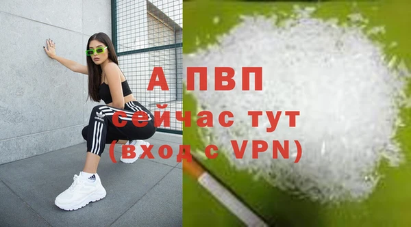 индика Сосновка