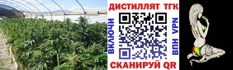 ТГК Wax  Инза 